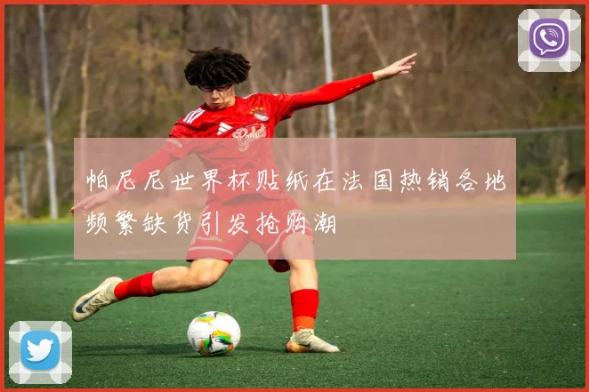 帕尼尼世界杯贴纸在法国热销各地频繁缺货引发抢购潮