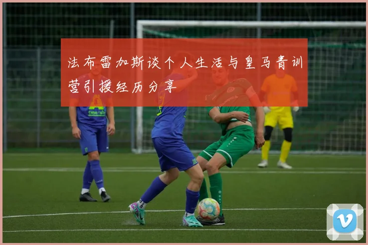 法布雷加斯谈个人生活与皇马青训营引援经历分享